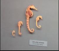 The Jade Shader - Curse of the Tuatara (Cover Artwork)