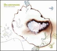The New Amsterdams - Story Like a Scar