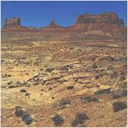 The Occasion - The Occasion (Cover Artwork)