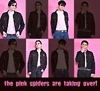 The Pink Spiders - Are Taking Over! (Cover Artwork)