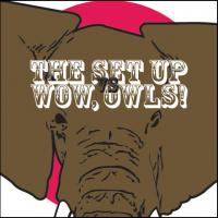 The SetUp / Wow, Owls! - Split [7 inch] (Cover Artwork)