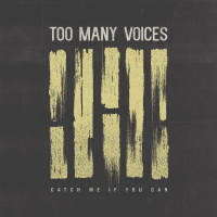 Too Many Voices - Catch Me If You Can (Cover Artwork)