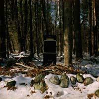 Transistor Transistor - Ruined Lives