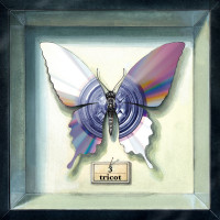 tricot - 3 (Cover Artwork)