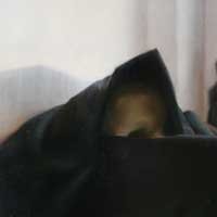 True Widow - True Widow (Cover Artwork)