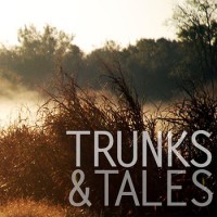 Trunks & Tales - Standing Still Fast (Cover Artwork)