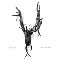 tētēma - Necroscape (Cover Artwork)