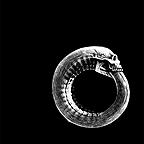 Turbonegro - Scandinavian Leather