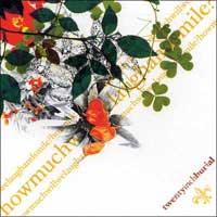 Twentyinchburial - How Much Will We Laugh and Smile? (Cover Artwork)