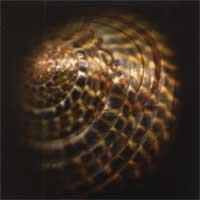 Uphollow - Jackets for the Trip (Cover Artwork)