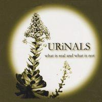 Urinals - What is Real and What is Not