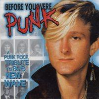 Various - Before You Were Punk
