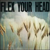 Various - Flex Your Head [remastered]