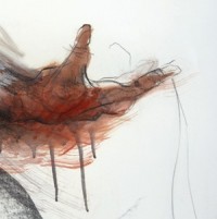 Victor! Fix the Sun - Person Place or Thing [12 inch] (Cover Artwork)