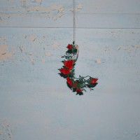 Wolf Teeth - A House//A Home (Cover Artwork)