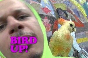 Navel Gazing June 12, 2016