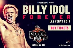 Winner of the Billy Idol: Forever contest