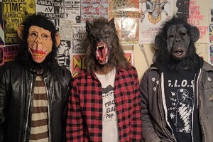 The Pukes: "What Should I Do?"