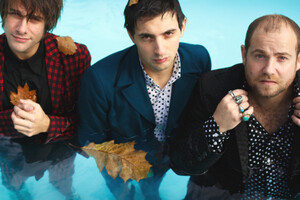 Fuzzy Vox 'I Fell in Love With the World'