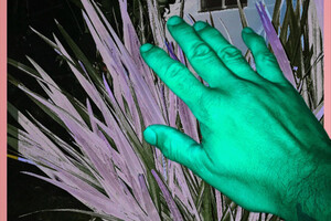 We Are Wolves : 'La Main De Dieu'