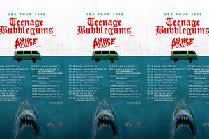 Teenage Bubblegums and Amuse announce US tour