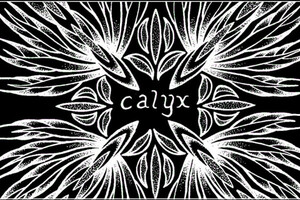 Calyx: “Leslie, Plain and Strong"