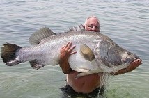 Reel Big Fish / Goldfinger