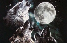 Like Wolves signs to Hex Records