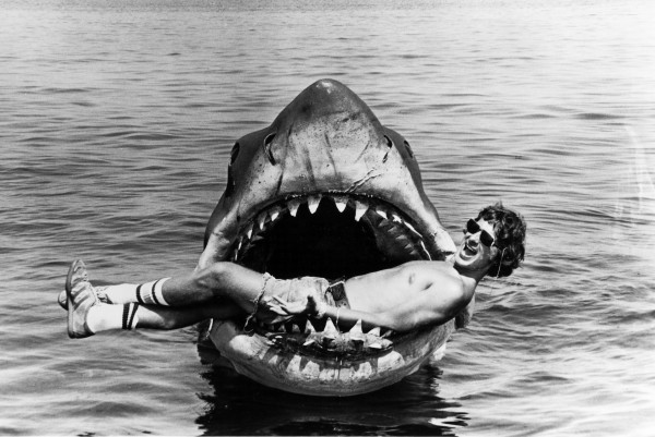 American Sharks; Shambles