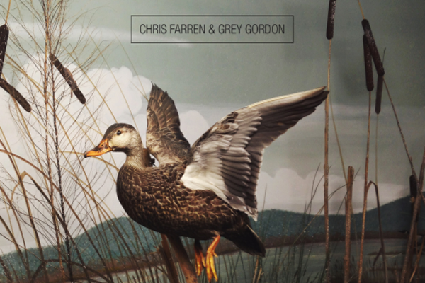 Grey Gordon / Chris Farren: 'Ducks Fly Together'