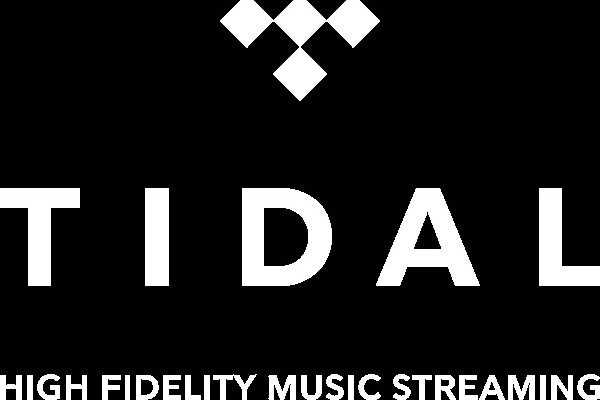 Tidal sells 33% share to Sprint