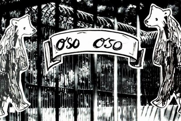 Oso Oso: "Another Night"