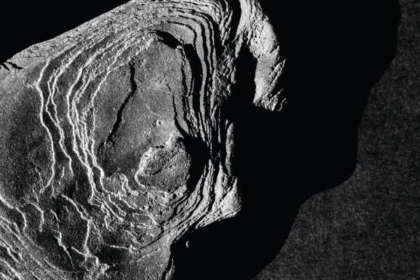 Innards and Caution Children split EP (Punknews Exclusive)