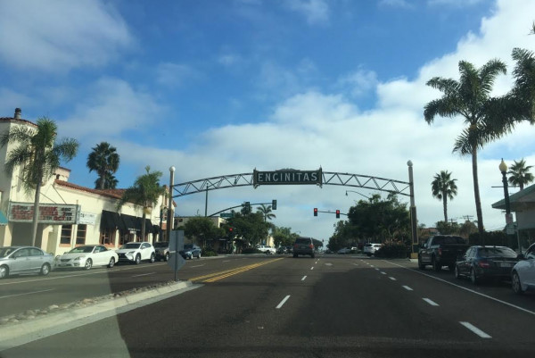 Seth Anderson: On the Road to Fest - Diary 5