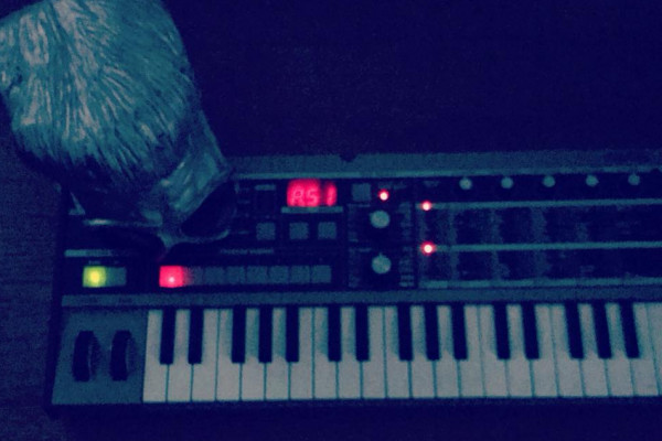 Sprocket Nova demo-ing new material