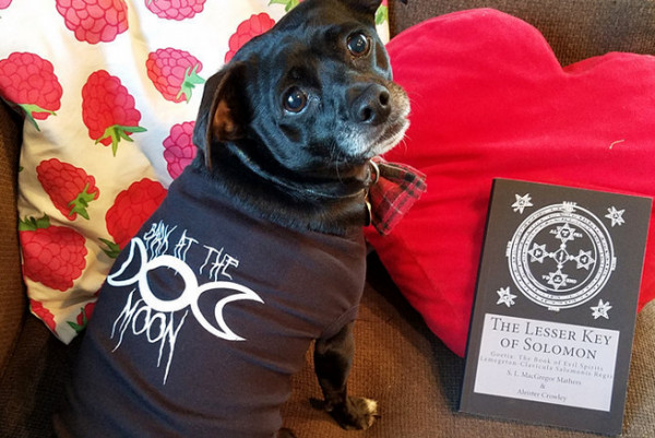 Kristen Ferrell and Brad Logan launch satanic dog clothing company