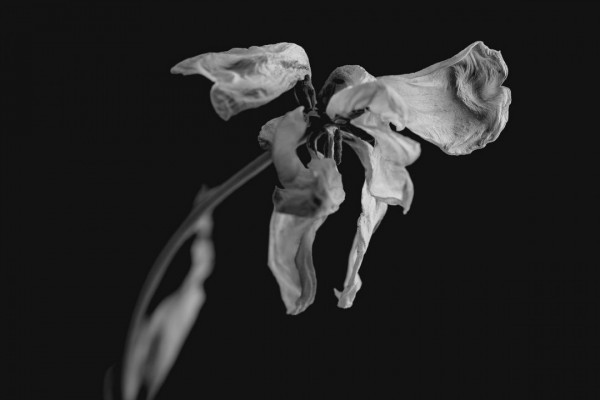 New Reviews for February 28, 2020