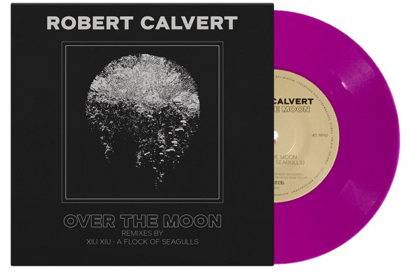 Robert Calvert (Hawkwind) track remixed by Flock of Seagulls