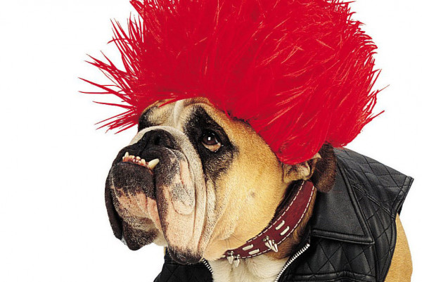 Navel Gazing for January 24, 2021