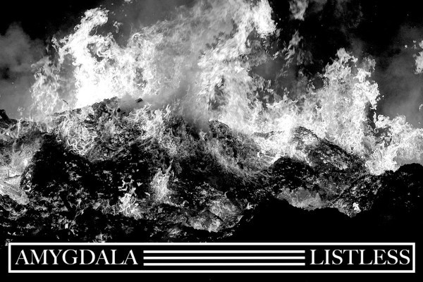 Amygdala and Listless announce split LP
