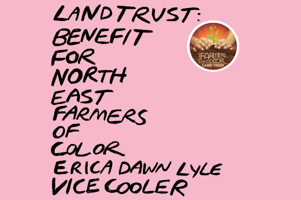 Erica Dawn Lyle and Vice Cooler announce benefit LP, release song with Kathleen Hanna