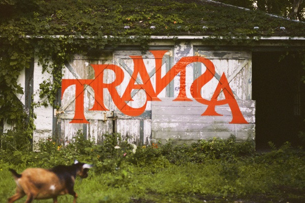 Laura Jane Grace, Julien Baker, Frankie Cosmos, more on upcoming 'TRAИƧA' comp album