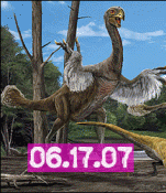 June 17, 2007