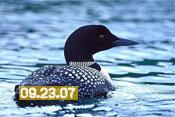 September 23rd, 2007