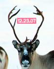 December 23rd, 2007