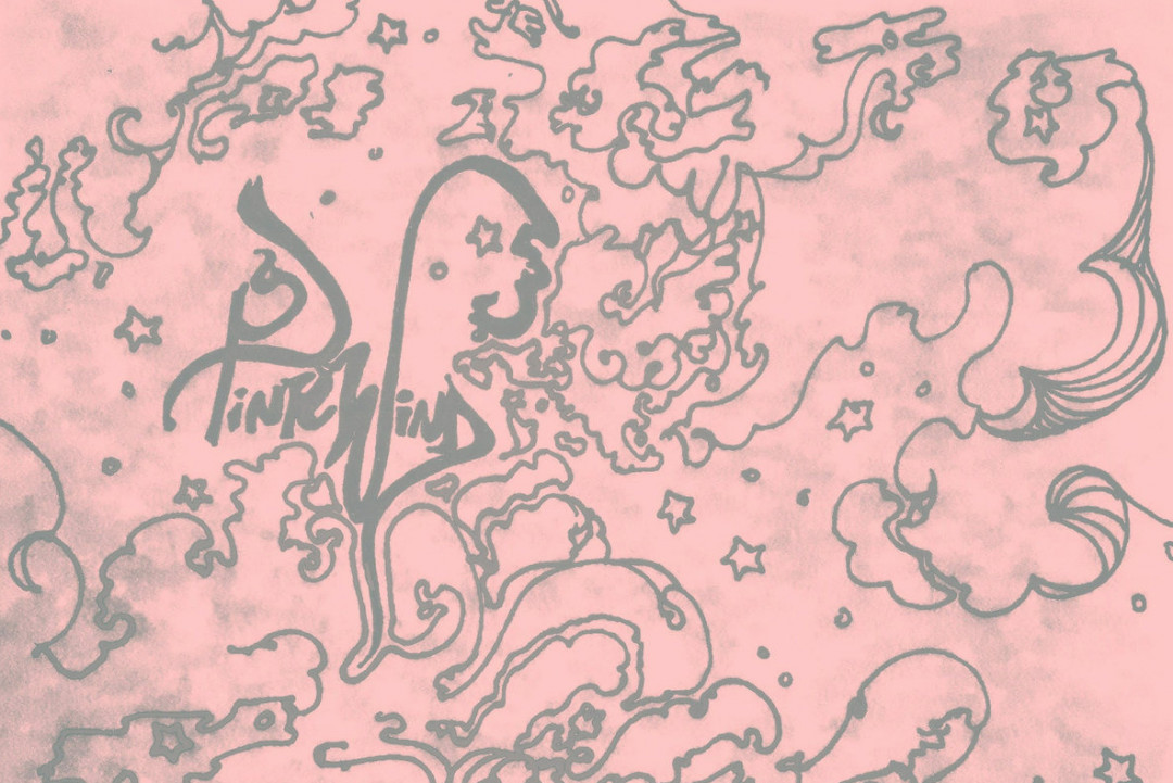 Pinkwind (Nik Turner, Twink) release live album from 1994