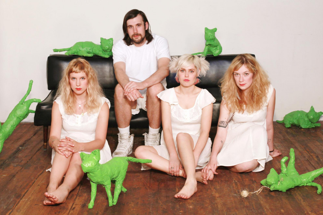 Tacocat stream new album
