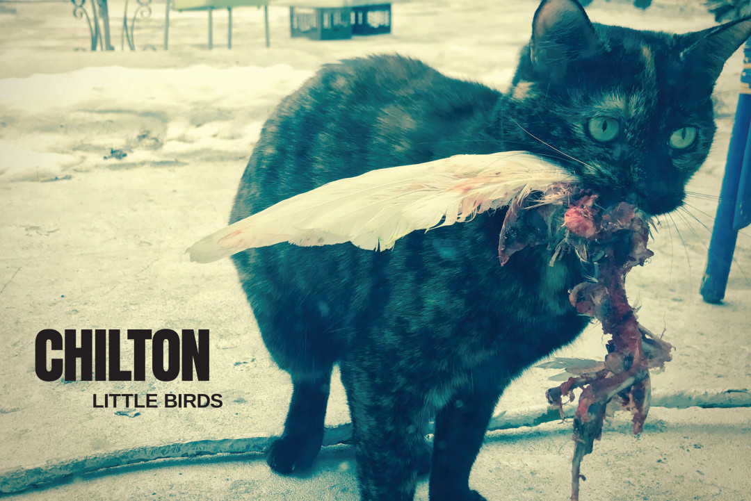 Check out the new track by Chilton (with Bill Stevenson on guitar!)