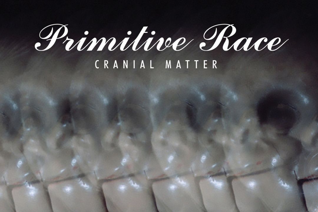 Rodney Anonymous, Paul Leary, Dave Lombardo remix Primitive Race