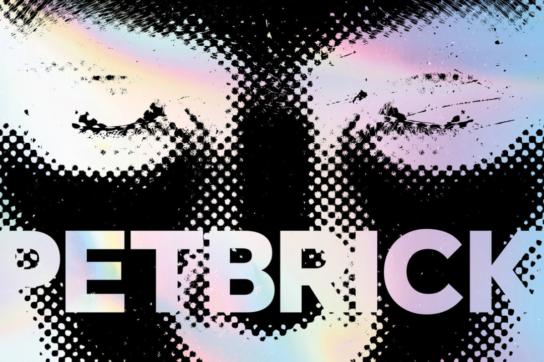 Dwid Hellion remixes Petbrick (Iggor Cavalera)